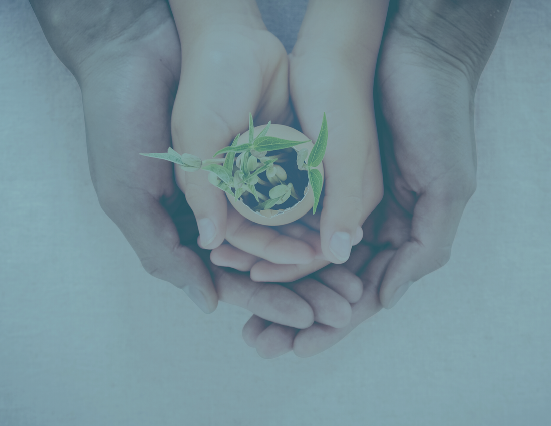 No privileges, just equality